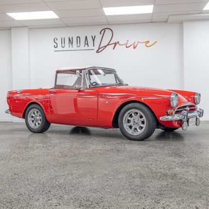 Sun Beam Tiger