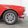 Sun Beam Tiger - 8