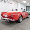 Sun Beam Tiger - 11