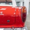 Sun Beam Tiger - 13